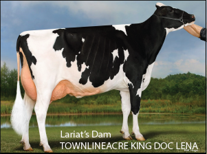 Lariats Dam: Townlineacre King Doc Lena